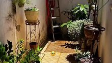 #ComedyShorts #FunnyVideos #ViralShorts #ShortsCom