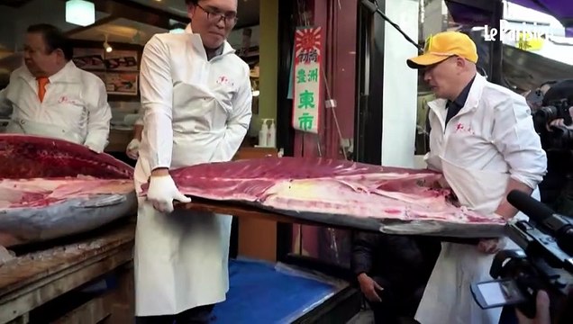 Le « roi du thon » paie un poisson 2,8 millions d’euros lors d’une vente aux enchères à Tokyo