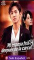 Sub EspaÑOl Mi Esposa FríA DespuéS De La CáRcel Serie Completa