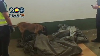 La Policía Nacional desmantela un punto activo de venta de cocaína