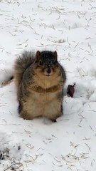 #funny video #shortvideo #viralvideo #funnyadda#