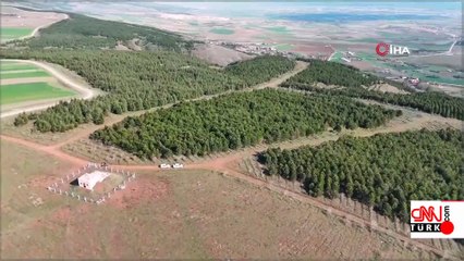 Her satırı kan dondurdu! Önce boğdu sonra 2 gün art arda yaktı