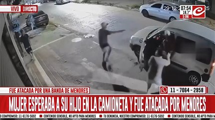 Menores de edad abordaron a una mujer y le robaron la camioneta. Mirá el video