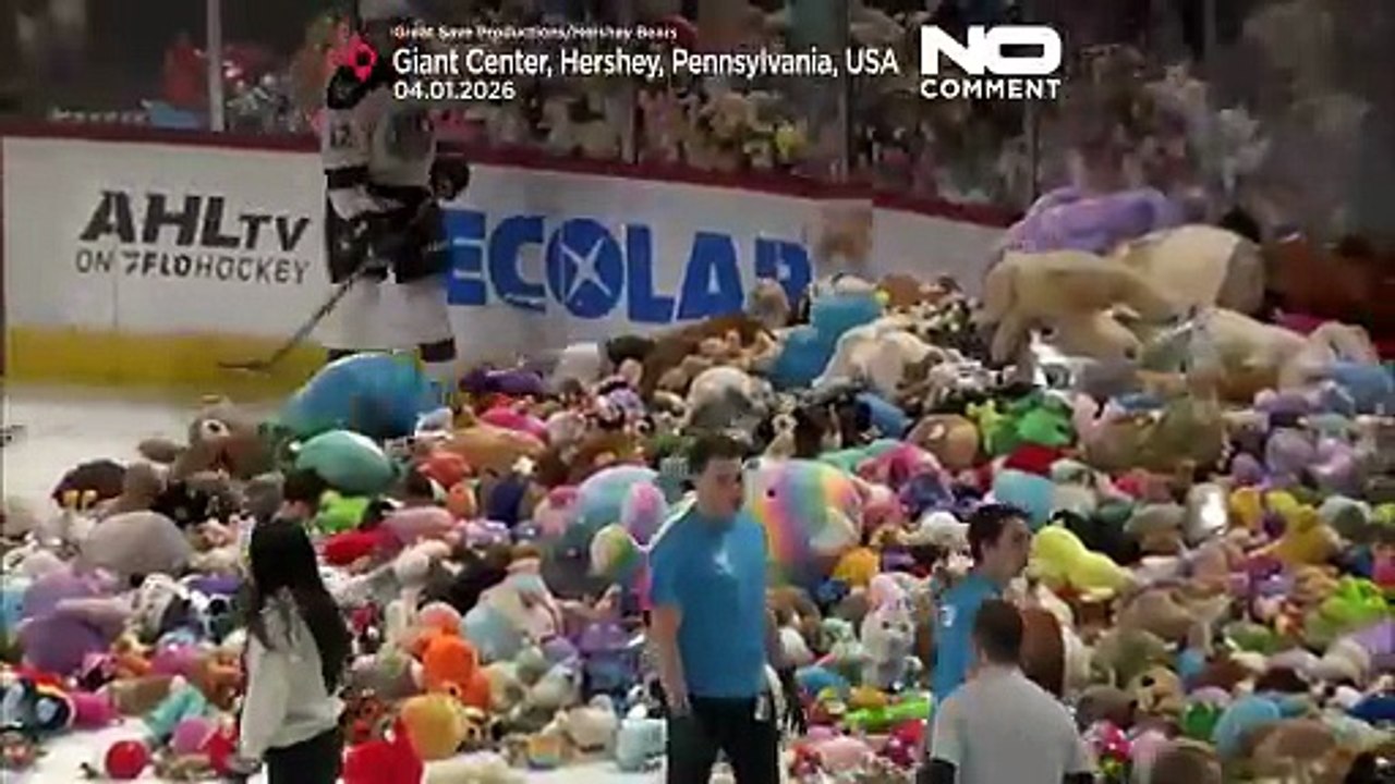 Hershey Bears' teddy bear toss collects 81,796 toys for local charities