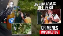CRIMENES IMPERFECTOS - EL CASO DE LOS ROBA GRASAS