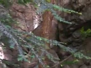 lynx biodome montreal