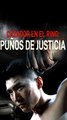 Cazador en el ring Puños de justicia (Doblado) #En Espanol