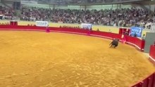 Salida del quinto toro del hierro de Jorge Mendes para el cavaleiro Salgueiro da Costa