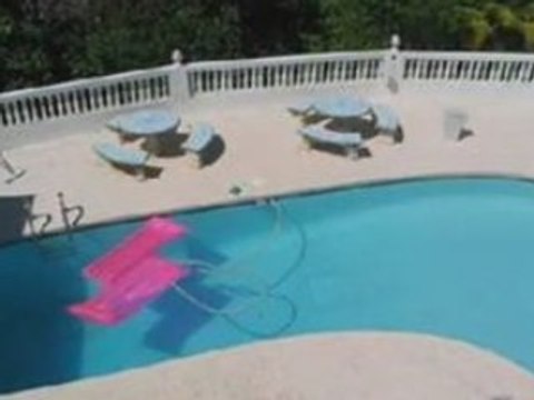 Guzmán Abajo | Rio Grande, Puerto Rico 00745