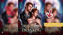 Hot 2026 Reborn for the Lycan King Reelshort