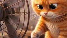 Too Close to the Fan 😼💨