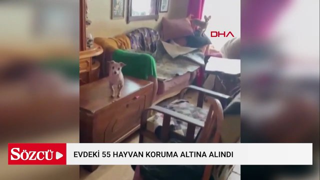 Evde sağlıksız koşullarda tutulan 55 hayvan koruma altına alındı