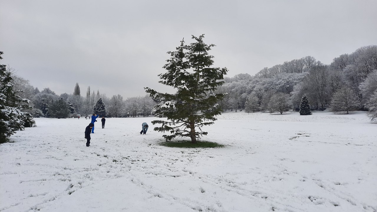 Bataille de boules de neige à l'arboretum de Conches-en-Ouche