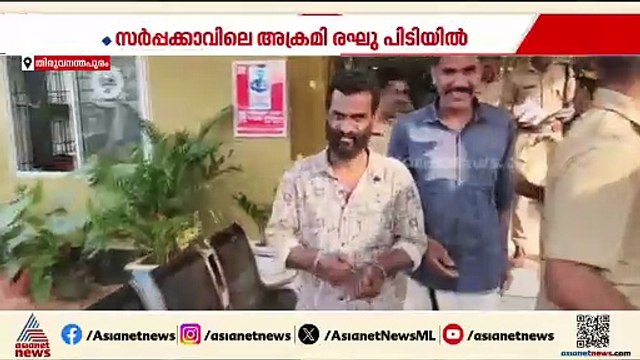 സര്‍പ്പക്കാവില്‍ ആക്രമണം, ബിജെപി സ്ഥാനാര്‍ത്ഥിയുടെ ഭര്‍ത്താവ് പിടിയില്‍