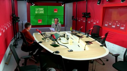 Souhaitons-nous de la robustesse - La terre au carré