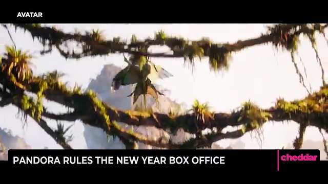 Pandora Rules the New Year Box Office
