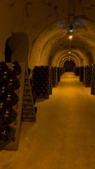 Visit to the Taittinger Cellars in Reims ✨🥂