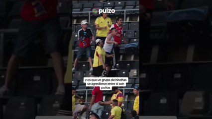 'Hinchas' de Colombia se agarraron en partido de la Selección: hasta sillas volaron | Pulzo