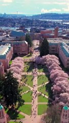 One Last Heartbeat If You Never Heard #shortdrama #fullmovie #englishsub