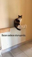 İlk başta “benim rahatımı düşünmek senin üzerine vazife mi?” demiş ama sonra o da alışmış