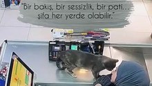 Onlar sizin duygularınızı hissediyor ve en ihtiyaç duyduğunuz anda hayatlarınıza giriyorlar...