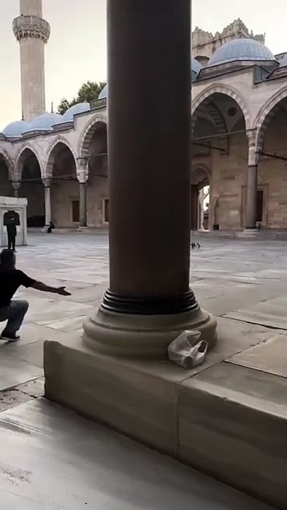 Kendini besleyen adamı gördüğü anda ne yapıyorsa bırakıp ona koşan kedi 😊