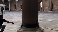 Kendini besleyen adamı gördüğü anda ne yapıyorsa bırakıp ona koşan kedi 😊