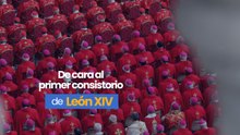De cara al primer consistorio de León XIV