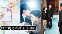 The marriage license torn by a dog reveals her perfect marriage was all his lie - Chinese Drama