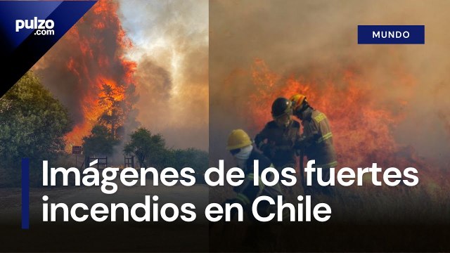 Incendios en Chile: impresionantes imágenes de los incendios forestales | Pulzo