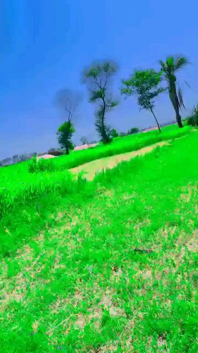 deewangi