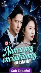 [SUB ESPAÑOL] Nunca nos encontramos en esta vida pelicula completa