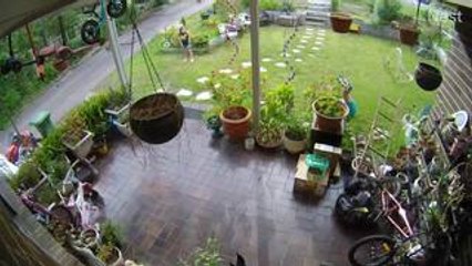 Man Falls Off Ladder Onto Lawn