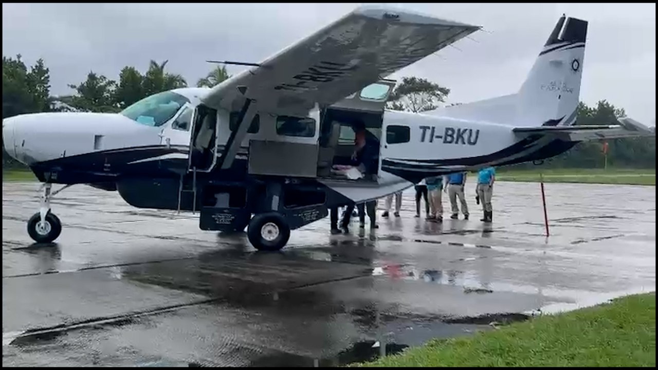 tn7-Hasta en avioneta Vea el completo traslado de cría de manatí encallado-050126