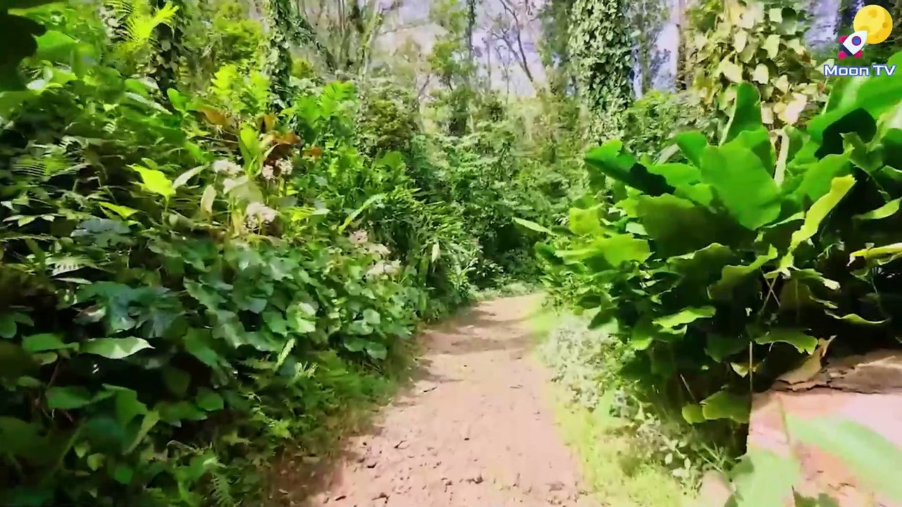 Healing Crystal Bowl Music For Chakra Balancing And Meditation