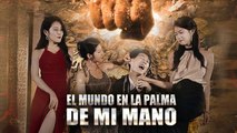 EspañOl El Mundo En La Palma De Mi Mano Episodio Completo