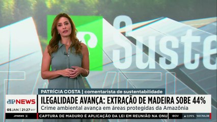 Extração ilegal de madeira cresce 44% em áreas protegidas da Amazônia | JP Sustentável