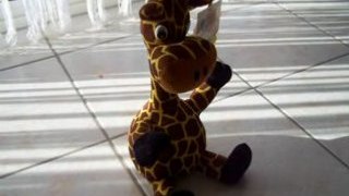 Girafe chanteuse