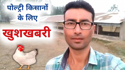 पोल्ट्री किसानो के लिए खुशख़बरी | desi murgi Palan | desi murgi form