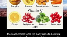 nutrients that support immune function