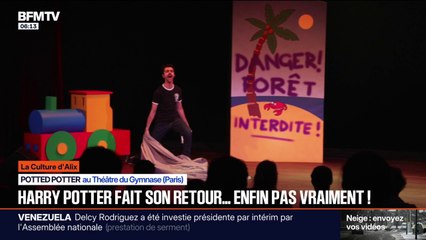 ÉDITO - Potted Potter, le spectacle parodique qui détourne les sept tomes de la saga Harry Potter