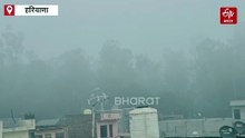 हरियाणा में शीतलहर का कहर, 13 जिलों में अलर्ट जारी, धुंध ने लगाई रफ्तार पर "ब्रेक "