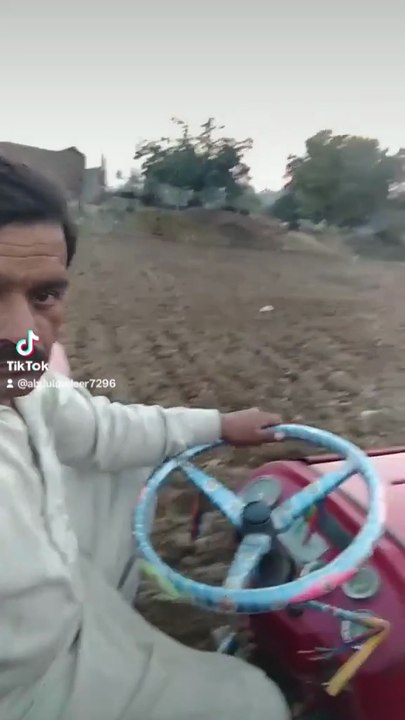 Punjabi mohal