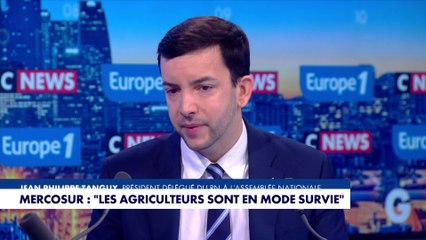 Jean-Philippe Tanguy : «Le Premier ministre essaye de gagner du temps et d’enfumer tout le monde»