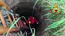 Cane da caccia si perde a Brindisi, i vigili del fuoco lo recuperano da un pozzo