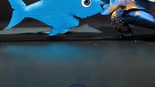 Baby Shark ASMR Mukbang Eating    Turtle Tortoise