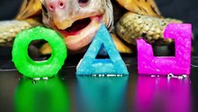 Squid Game ASMR Mukbang Eating Pink Cyan Green    Turtle Tortoise