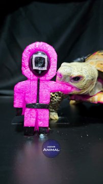 Squid Game ASMR Mukbang Eating Pink Soldier    Turtle Tortoise