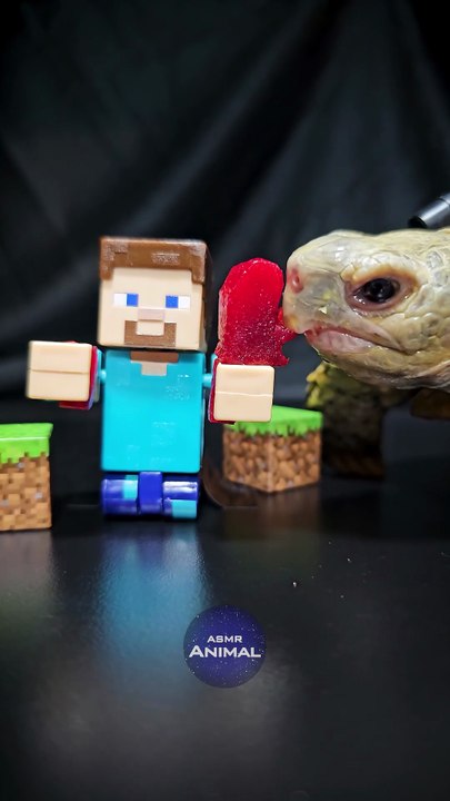 Minecraft ASMR Mukbang Eating Heart  ️ Turtle Tortoise