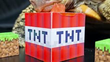 Minecraft ASMR Mukbang Eating TNT    Turtle Tortoise